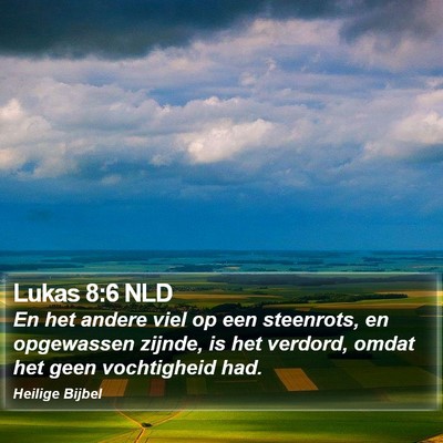 Lukas 8:6 NLD Bible Verse Image