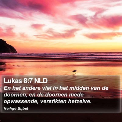 Lukas 8:7 NLD Bible Verse Image