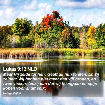 Lukas 9:13 NLD Bible Verse Image