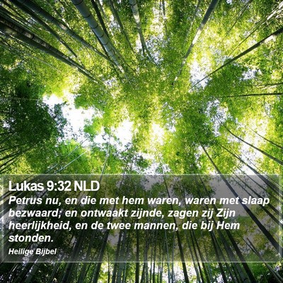 Lukas 9:32 NLD Bible Verse Image