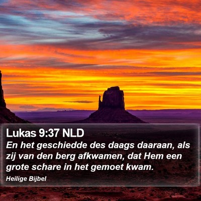Lukas 9:37 NLD Bible Verse Image