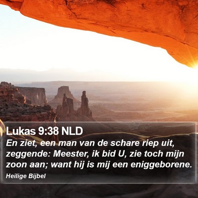 Lukas 9:38 NLD Bible Verse Image