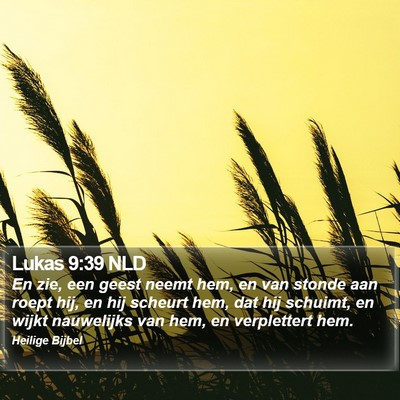 Lukas 9:39 NLD Bible Verse Image