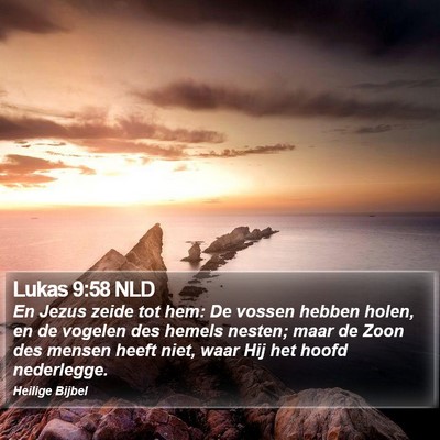 Lukas 9:58 NLD Bible Verse Image