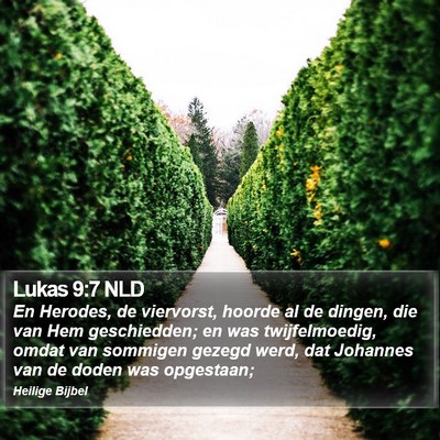 Lukas 9:7 NLD Bible Verse Image