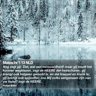 Maleachi 1:13 NLD Bible Verse Image