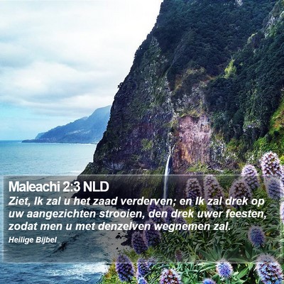Maleachi 2:3 NLD Bible Verse Image
