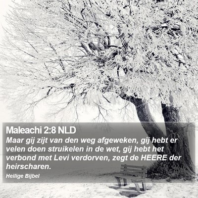 Maleachi 2:8 NLD Bible Verse Image