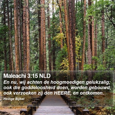 Maleachi 3:15 NLD Bible Verse Image