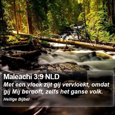 Maleachi 3:9 NLD Bible Verse Image