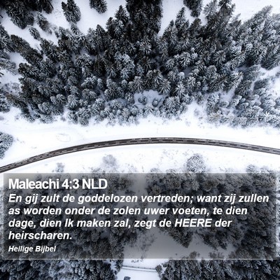 Maleachi 4:3 NLD Bible Verse Image