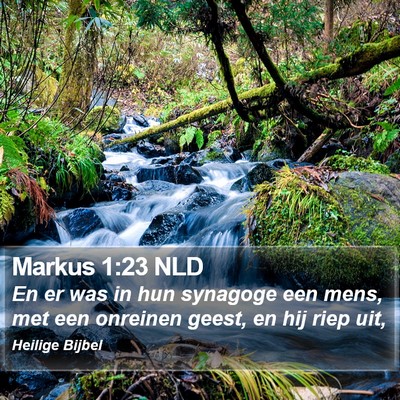 Markus 1:23 NLD Bible Verse Image