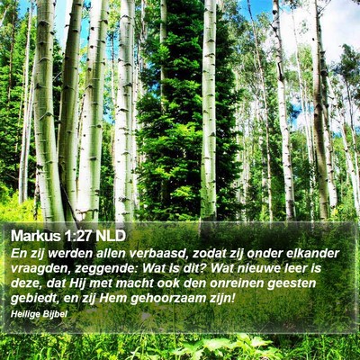Markus 1:27 NLD Bible Verse Image