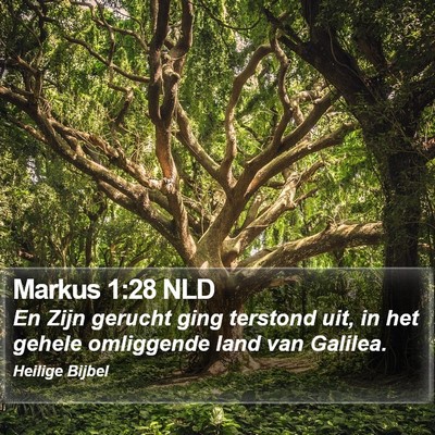 Markus 1:28 NLD Bible Verse Image