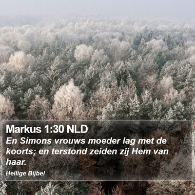 Markus 1:30 NLD Bible Verse Image