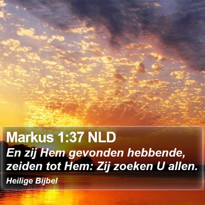 Markus 1:37 NLD Bible Verse Image
