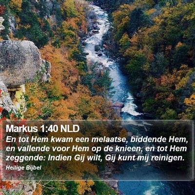 Markus 1:40 NLD Bible Verse Image