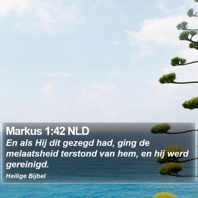 Markus 1:42 NLD Bible Verse Image
