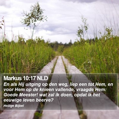 Markus 10:17 NLD Bible Verse Image