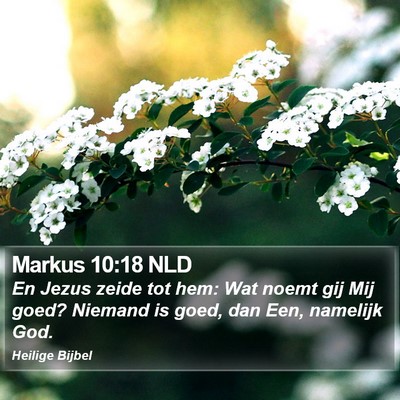 Markus 10:18 NLD Bible Verse Image