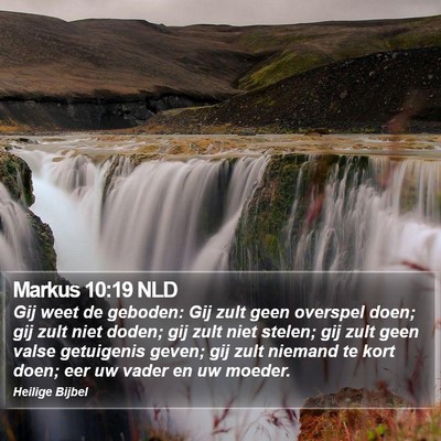 Markus 10:19 NLD Bible Verse Image