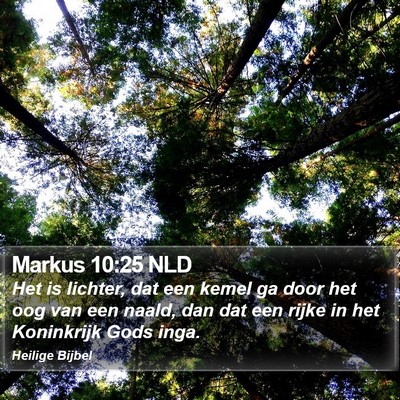 Markus 10:25 NLD Bible Verse Image
