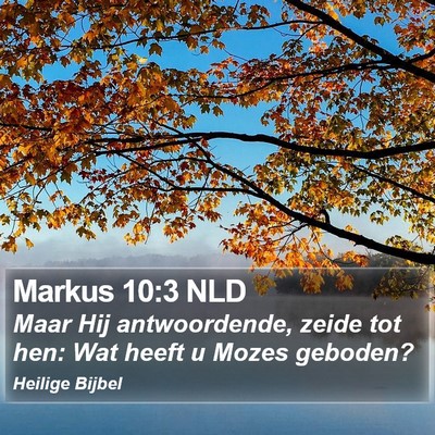 Markus 10:3 NLD Bible Verse Image