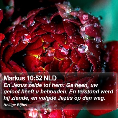 Markus 10:52 NLD Bible Verse Image
