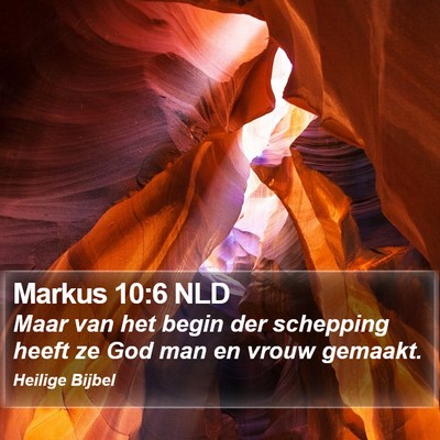 Markus 10:6 NLD Bible Verse Image