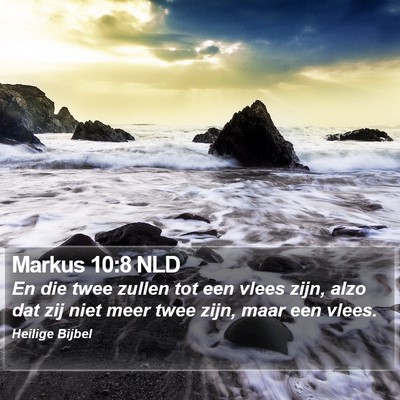 Markus 10:8 NLD Bible Verse Image