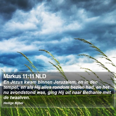 Markus 11:11 NLD Bible Verse Image