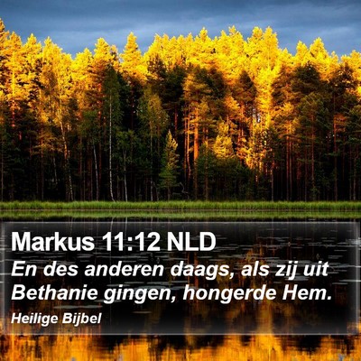 Markus 11:12 NLD Bible Verse Image