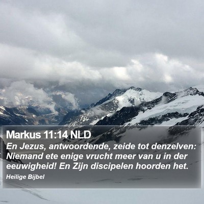 Markus 11:14 NLD Bible Verse Image