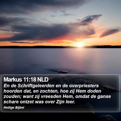 Markus 11:18 NLD Bible Verse Image