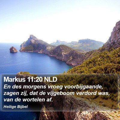 Markus 11:20 NLD Bible Verse Image