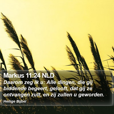 Markus 11:24 NLD Bible Verse Image