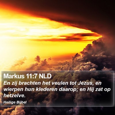 Markus 11:7 NLD Bible Verse Image