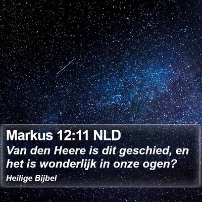 Markus 12:11 NLD Bible Verse Image