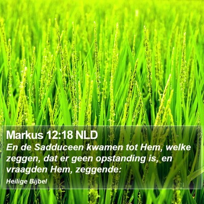 Markus 12:18 NLD Bible Verse Image
