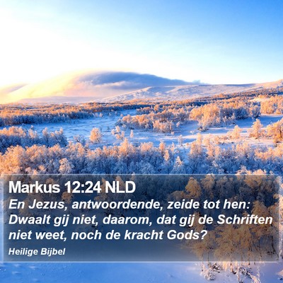 Markus 12:24 NLD Bible Verse Image