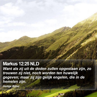 Markus 12:25 NLD Bible Verse Image