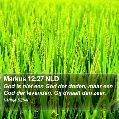Markus 12:27 NLD Bible Verse Image