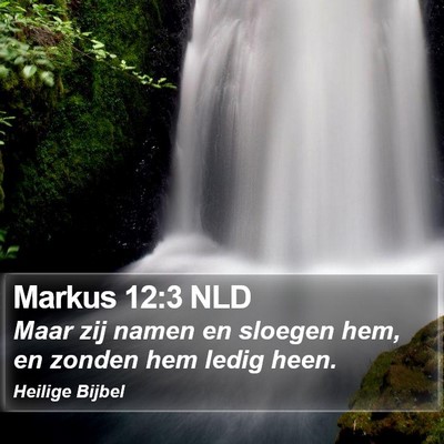 Markus 12:3 NLD Bible Verse Image
