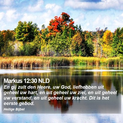 Markus 12:30 NLD Bible Verse Image