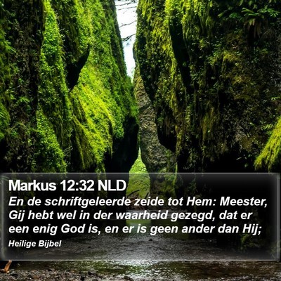 Markus 12:32 NLD Bible Verse Image