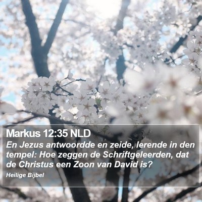 Markus 12:35 NLD Bible Verse Image