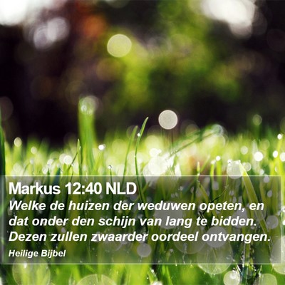 Markus 12:40 NLD Bible Verse Image