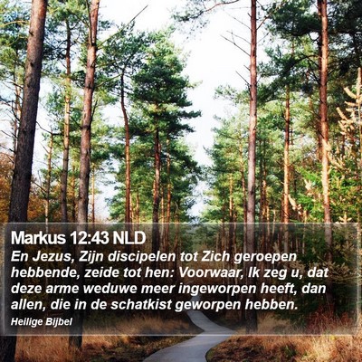 Markus 12:43 NLD Bible Verse Image