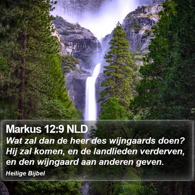 Markus 12:9 NLD Bible Verse Image