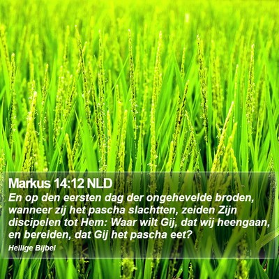 Markus 14:12 NLD Bible Verse Image